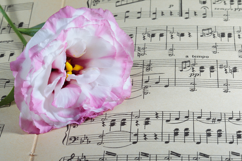 music notes and flower